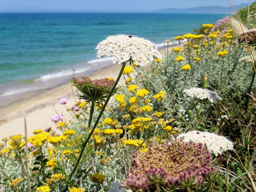 ואלדוריה Sa Fiorida Case Vacanze מראה חיצוני תמונה