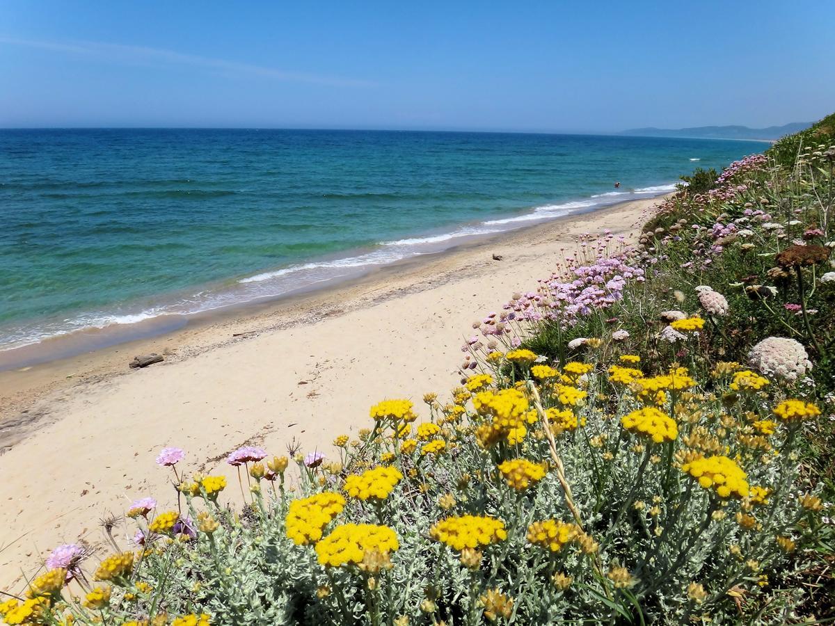 ואלדוריה Sa Fiorida Case Vacanze מראה חיצוני תמונה